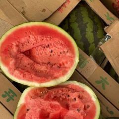 云南美都 麒麟大量有货 电商 超市 市场批发 代发全国 欢迎全国客商