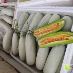 甜瓜价格继续落