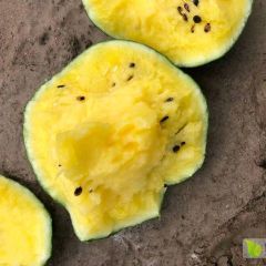 欢迎平台市场对接可开票包入库东台特小凤