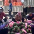 潍坊寒亭大量供应西瓜、甜瓜