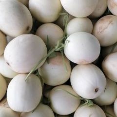 原产地货源甜瓜大量供应