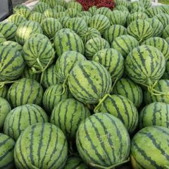 河南省商丘夏邑县郭庄