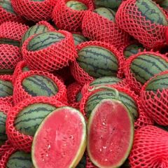 早春红玉 包熟包甜