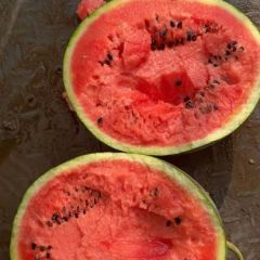 吉林白城安广西瓜现货供应 随时接单装车