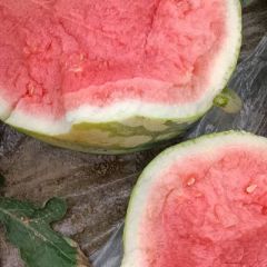 麒麟美都全国代发