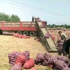 洋葱洋葱洋葱洋葱