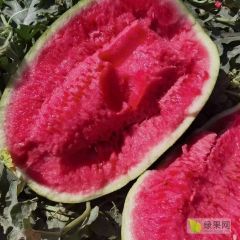 新疆西瓜 吐鲁番火焰山万亩西瓜基地 全国代收代发