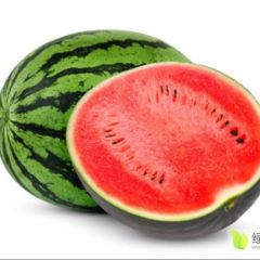 陕西渭南西瓜大量上市