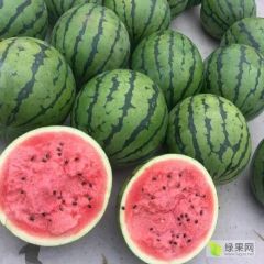 山东甜王西瓜麒麟西瓜，产地直供一手货源