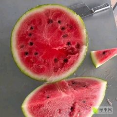 四川德阳中江8424西瓜黑子欢迎各位老板选购基地出货1.8一斤精品