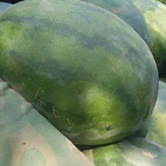 产地供货，价格公道，货源充足，上货快