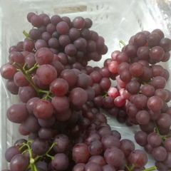 现货葡萄大量上市