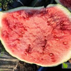 原棚美都高品质供应