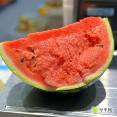 河南开封西瓜代办美都西瓜产地今日供应行情