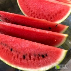 露天有籽美都小薄皮大红瓤产地供应链