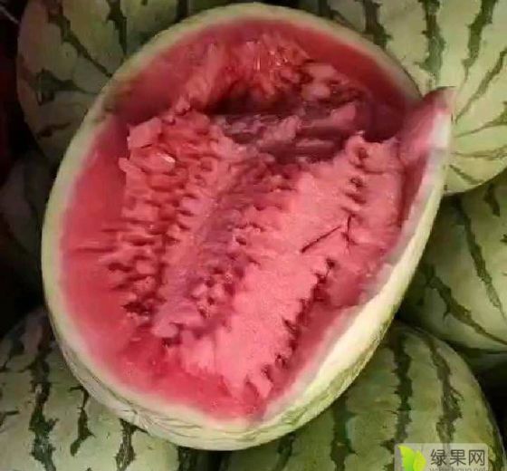 美都价格