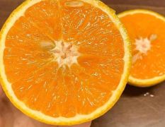 湖北橙子，夏橙，果大皮薄味甜，产地一手货源，耐运输耐存放