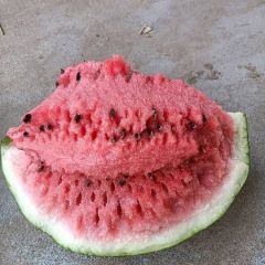 开封沙地超甜美都西瓜大量供应