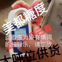 开封甜王 美都大量供应