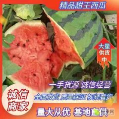 河北唐山陆地西瓜现货供应货源充足产地直发可视频看货