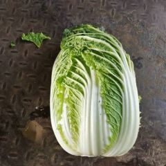 河北白菜 甘蓝 菜花 生菜大量上市