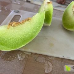 玉菇大量有货质量好，糖分高，