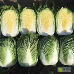 张北玲珑黄矮颗大白菜，外表绿，无黑点，无花边