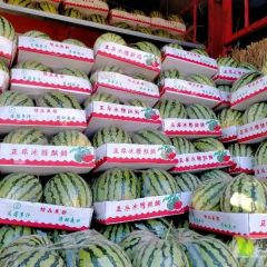 太康西瓜大量上市