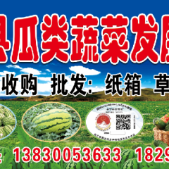 会宁砂田西瓜代办代发：赵首章