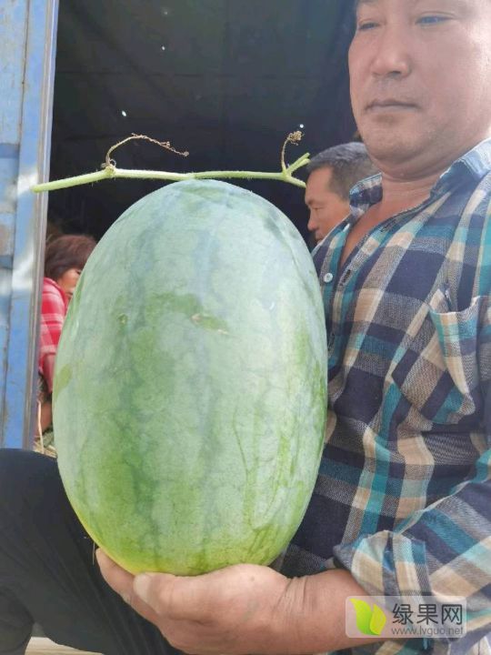 龙卷风价格