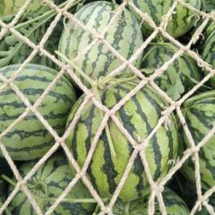 开封通许美都大量上市