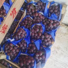 河北晋州葡萄产品基地