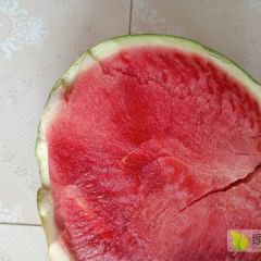 百亩美都上市有需要的抓紧时间订货