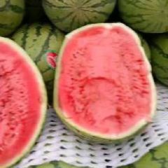 宁夏干旱带上的精华石头缝里长出的西瓜?