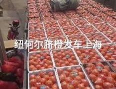 大湘西果业，湘妃农业发展有限公司。