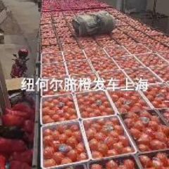 大湘西果业，湘妃农业发展有限公司。