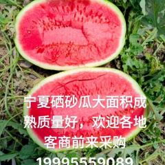 硒砂瓜代办代发全国