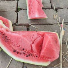 周口市扶沟县露天有籽美都大吨位供应