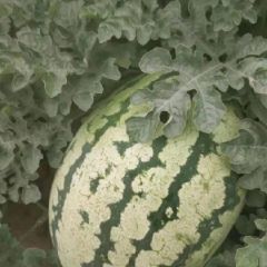 专业代办团队，多年代办经验。