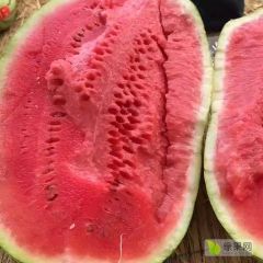 正宗宁夏中卫硒砂瓜产地直发