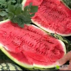 宁夏中卫市中宁县糖分13个加的糖质量杠杠的