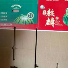 无籽西瓜美都西瓜大量上市中