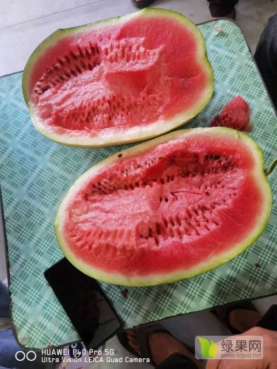 硒砂瓜价格