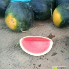 湖北 钟祥市黑无籽大量上市