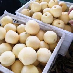 白皇冠梨，黄冠梨直发产地，一手货源