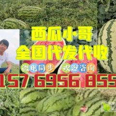 宁夏石头缝里蹦出来的精华