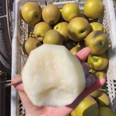正宗百里洲黄花梨直销