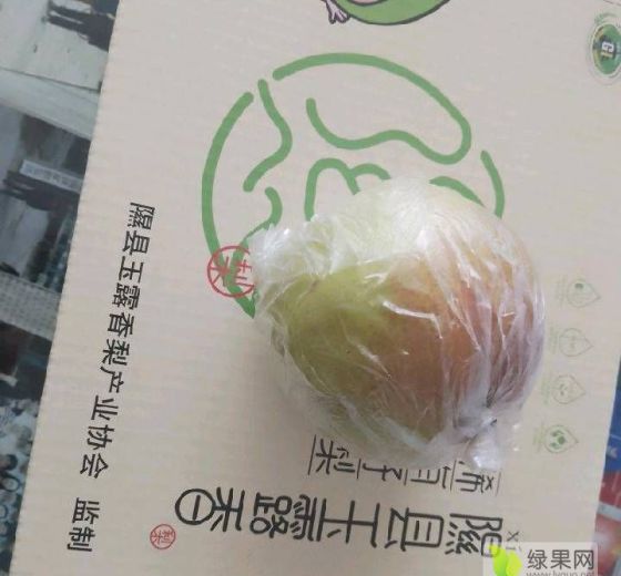 2023年山西隰县酥梨价格