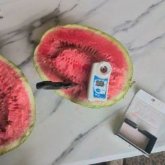 宁夏硒砂瓜实力代发