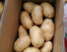 富硒土豆，富硒有机肥种植